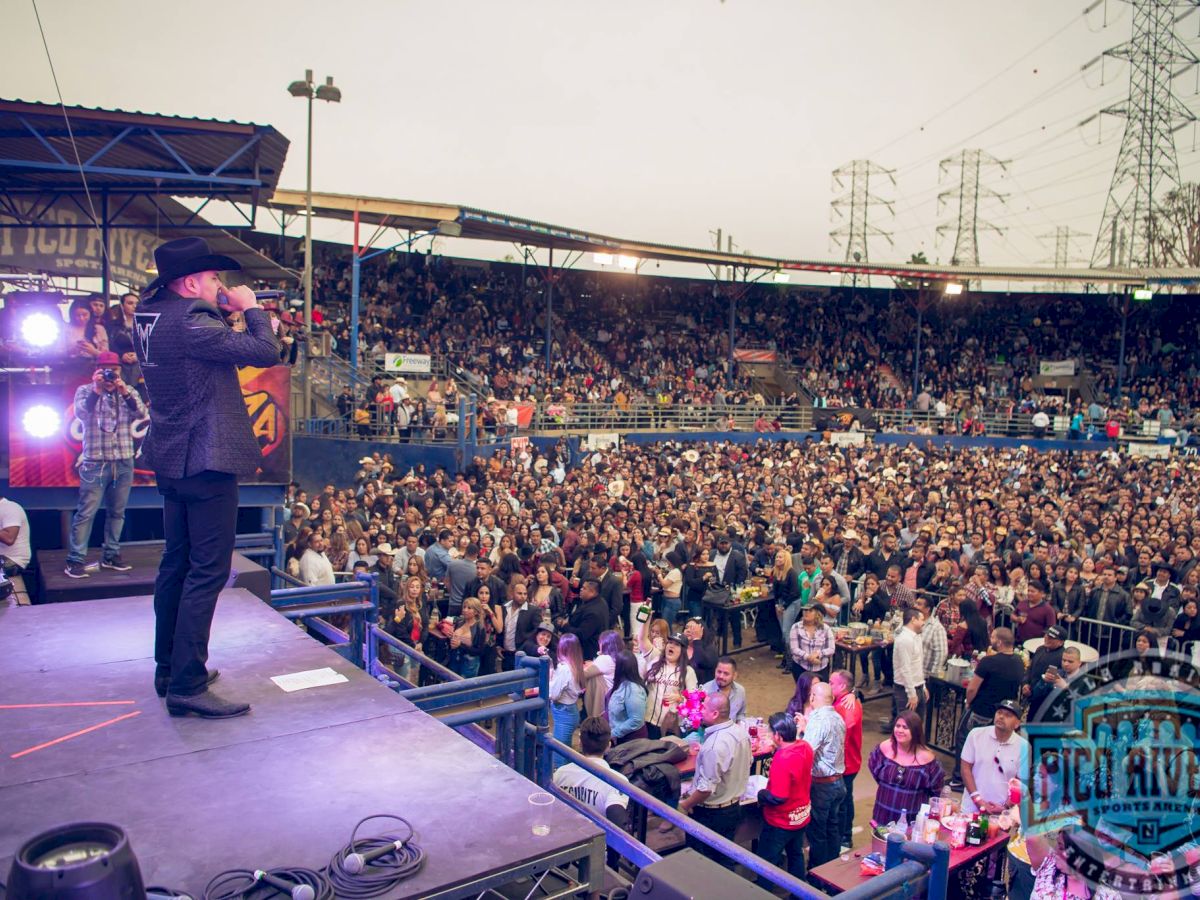 A performer in a hat and suit is on stage in front of a large, energetic crowd at an outdoor event, with a 