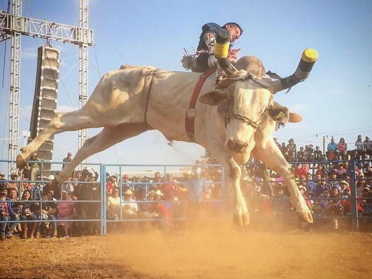 A rodeo scene with a rider on a bucking bull in an arena, surrounded by a crowd and structure in the background.