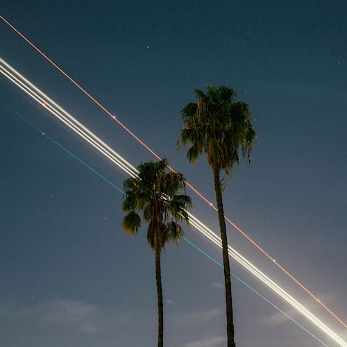 The image shows two tall palm trees under a night sky, with colorful light streaks passing diagonally across, likely from a prolonged exposure shot of an airplane.